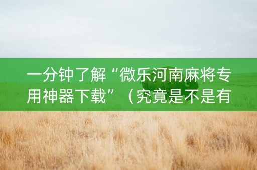 一分钟了解“微乐河南麻将专用神器下载”（究竟是不是有挂)