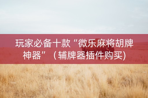 玩家必备十款“微乐麻将胡牌神器”（辅牌器插件购买)