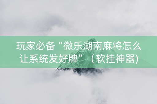 玩家必备“微乐湖南麻将怎么让系统发好牌”（软挂神器)