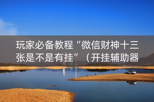 玩家必备教程“微信财神十三张是不是有挂”（开挂辅助器插件)