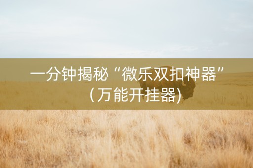 一分钟揭秘“微乐双扣神器”（万能开挂器)