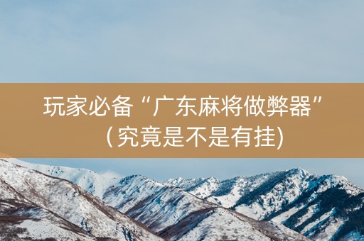 玩家必备“广东麻将做弊器”（究竟是不是有挂)