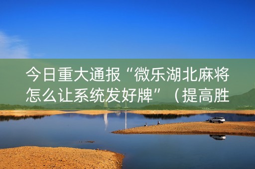 今日重大通报“微乐湖北麻将怎么让系统发好牌”（提高胜率技巧)
