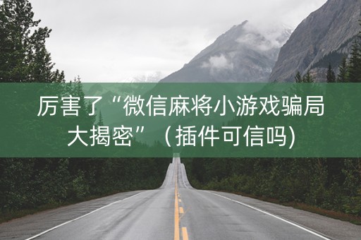 厉害了“微信麻将小游戏骗局大揭密”（插件可信吗)