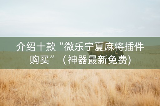 介绍十款“微乐宁夏麻将插件购买”（神器最新免费)
