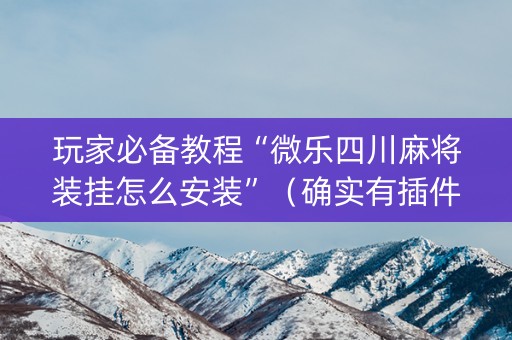 玩家必备教程“微乐四川麻将装挂怎么安装”（确实有插件吗)