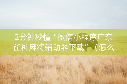 2分钟秒懂“微信小程序广东雀神麻将辅助器下载”（怎么控制输赢)