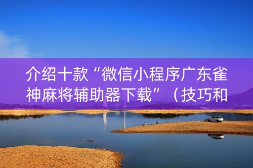介绍十款“微信小程序广东雀神麻将辅助器下载”（技巧和打好牌方法)