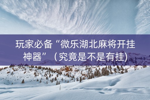 玩家必备“微乐湖北麻将开挂神器”（究竟是不是有挂)