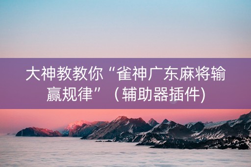 大神教教你“雀神广东麻将输赢规律”（辅助器插件)