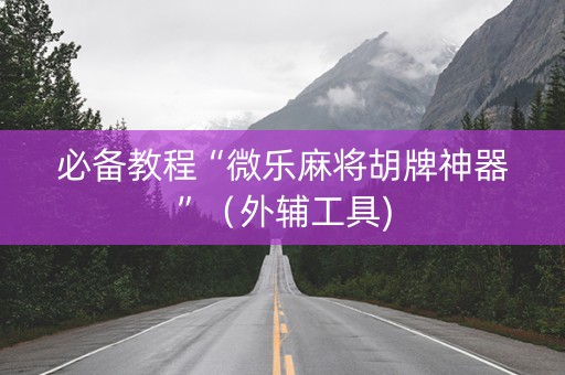 必备教程“微乐麻将胡牌神器”（外辅工具)