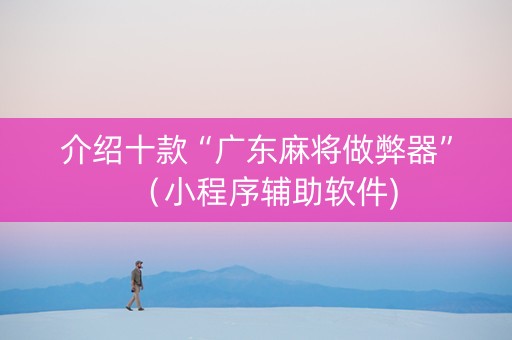 介绍十款“广东麻将做弊器”（小程序辅助软件)