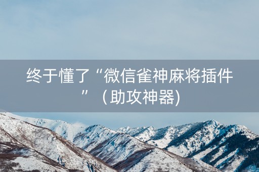 终于懂了“微信雀神麻将插件”（助攻神器)