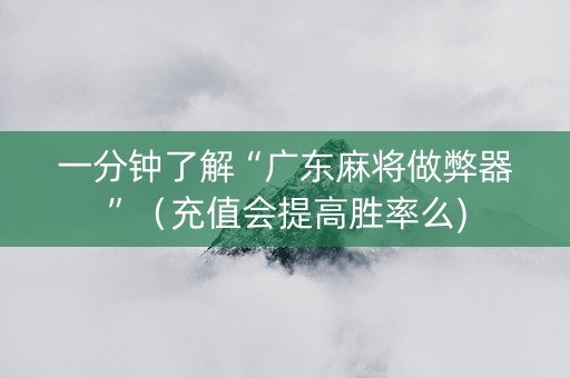 一分钟了解“广东麻将做弊器”（充值会提高胜率么)