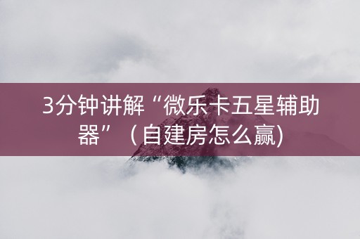 3分钟讲解“微乐卡五星辅助器”（自建房怎么赢)