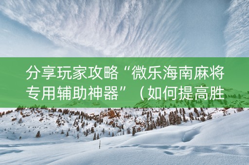 分享玩家攻略“微乐海南麻将专用辅助神器”（如何提高胜率)