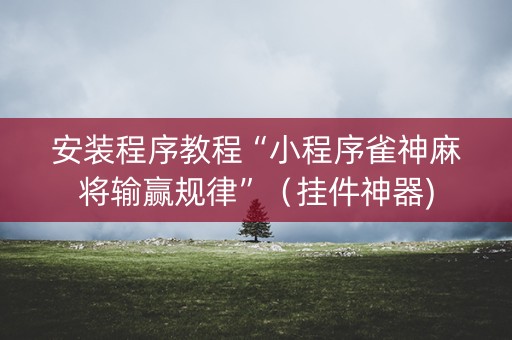 安装程序教程“小程序雀神麻将输赢规律”（挂件神器)