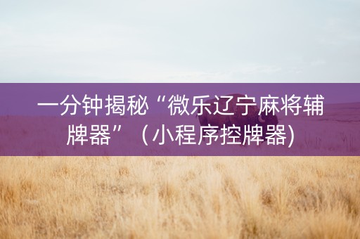 一分钟揭秘“微乐辽宁麻将辅牌器”（小程序控牌器)
