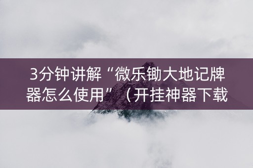 3分钟讲解“微乐锄大地记牌器怎么使用”（开挂神器下载)