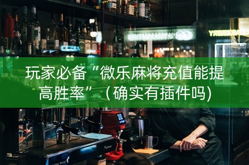 玩家必备“微乐麻将充值能提高胜率”（确实有插件吗)