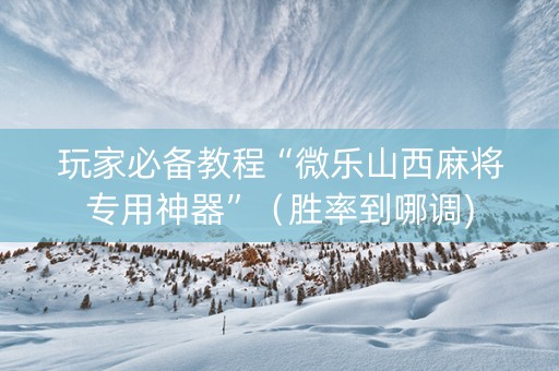 玩家必备教程“微乐山西麻将专用神器”（胜率到哪调)