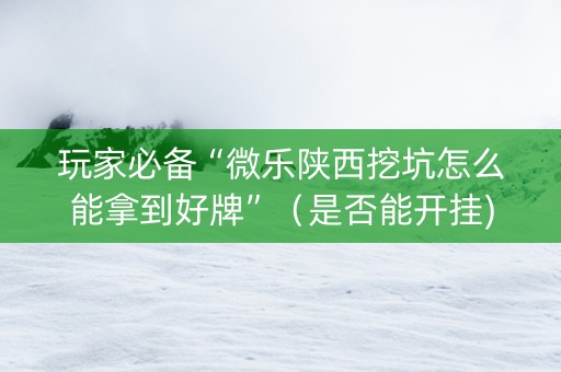 玩家必备“微乐陕西挖坑怎么能拿到好牌”（是否能开挂)