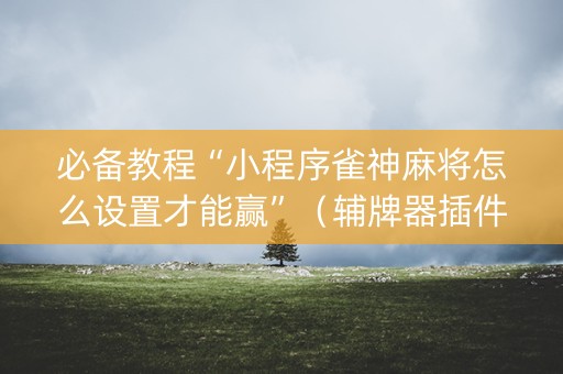 必备教程“小程序雀神麻将怎么设置才能赢”（辅牌器插件购买)
