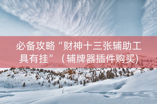必备攻略“财神十三张辅助工具有挂”（辅牌器插件购买)