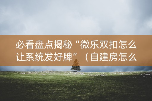 必看盘点揭秘“微乐双扣怎么让系统发好牌”（自建房怎么赢)