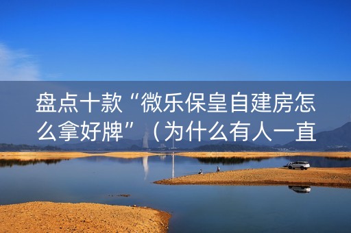 盘点十款“微乐保皇自建房怎么拿好牌”（为什么有人一直赢)