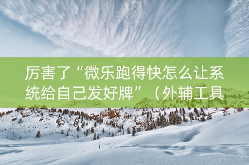 厉害了“微乐跑得快怎么让系统给自己发好牌”（外辅工具)