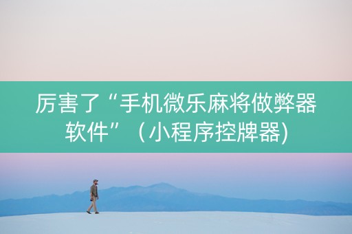 厉害了“手机微乐麻将做弊器软件”（小程序控牌器)