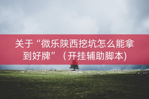 关于“微乐陕西挖坑怎么能拿到好牌”（开挂辅助脚本)