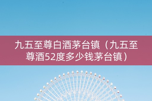 九五至尊白酒茅台镇（九五至尊酒52度多少钱茅台镇）