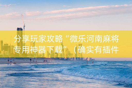 分享玩家攻略“微乐河南麻将专用神器下载”（确实有插件吗)