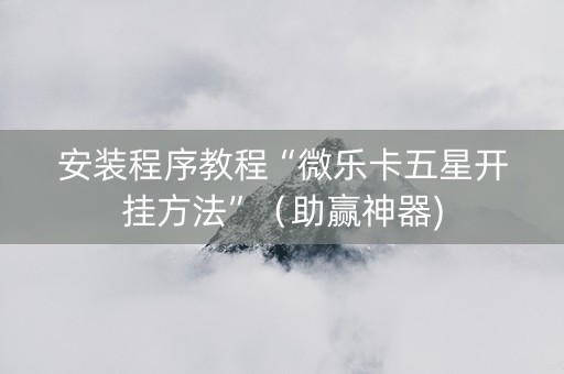 安装程序教程“微乐卡五星开挂方法”（助赢神器)