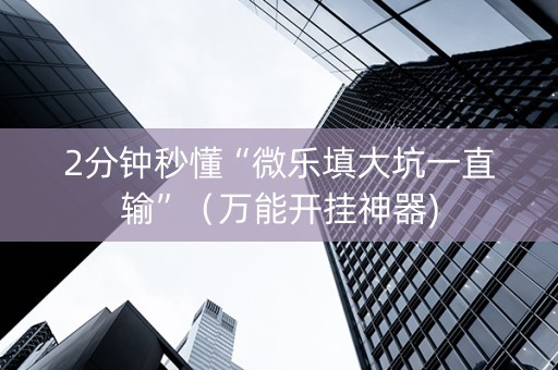 2分钟秒懂“微乐填大坑一直输”（万能开挂神器)