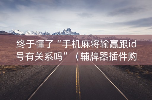 终于懂了“手机麻将输赢跟id号有关系吗”（辅牌器插件购买)