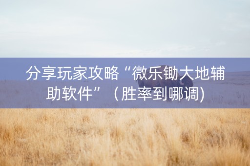 分享玩家攻略“微乐锄大地辅助软件”（胜率到哪调)