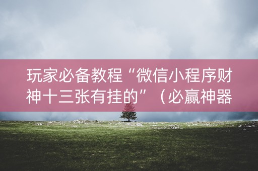 玩家必备教程“微信小程序财神十三张有挂的”（必赢神器免费安装)