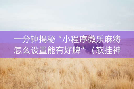 一分钟揭秘“小程序微乐麻将怎么设置能有好牌”（软挂神器)