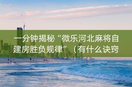 一分钟揭秘“微乐河北麻将自建房胜负规律”（有什么诀窍)