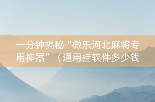 一分钟揭秘“微乐河北麻将专用神器”（通用挂软件多少钱)