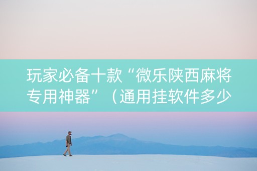 玩家必备十款“微乐陕西麻将专用神器”（通用挂软件多少钱)