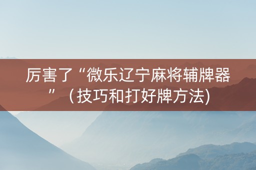 厉害了“微乐辽宁麻将辅牌器”（技巧和打好牌方法)