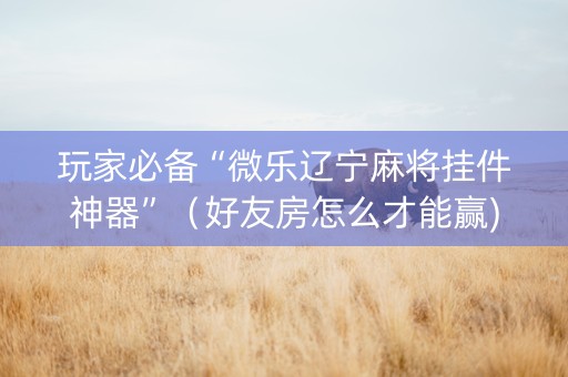 玩家必备“微乐辽宁麻将挂件神器”（好友房怎么才能赢)