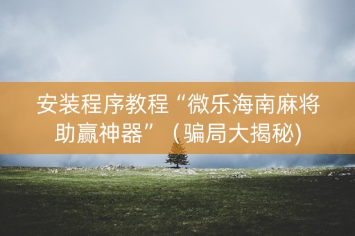 安装程序教程“微乐海南麻将助赢神器”（骗局大揭秘)