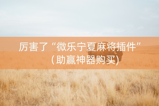 厉害了“微乐宁夏麻将插件”（助赢神器购买)