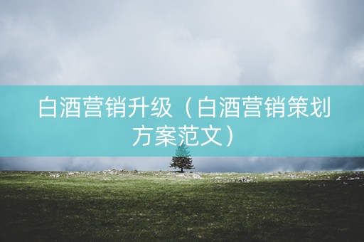 白酒营销升级（白酒营销策划方案范文）