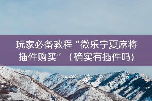 玩家必备教程“微乐宁夏麻将插件购买”（确实有插件吗)